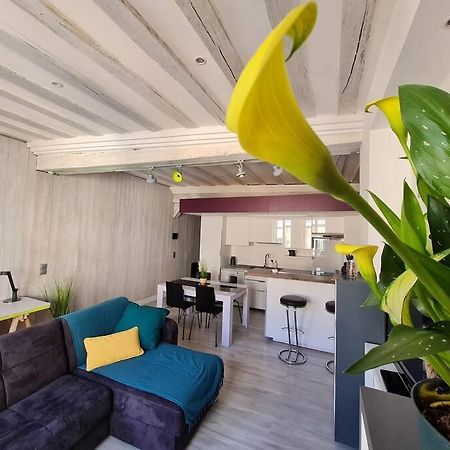 T2 D'Architecte A Troyes Apartment Ngoại thất bức ảnh
